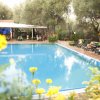 Piscina all'aperto circondata da sedie e alberi.