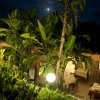 Ristorante all'aperto illuminato di sera con palme.
