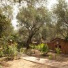Sentiero tra alberi e cottage in un giardino.
