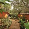 Bungalow arancioni tra piante e alberi su un sentiero lastricato.
