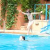 Bambino che salta in una piscina affollata.