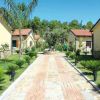 Vialetto di pietra con palazzi gialli e giardino curato.