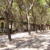File di case mobili tra alberi in un campeggio ombreggiato.