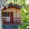 Camping Village Torre Di Velia (SA) Campania